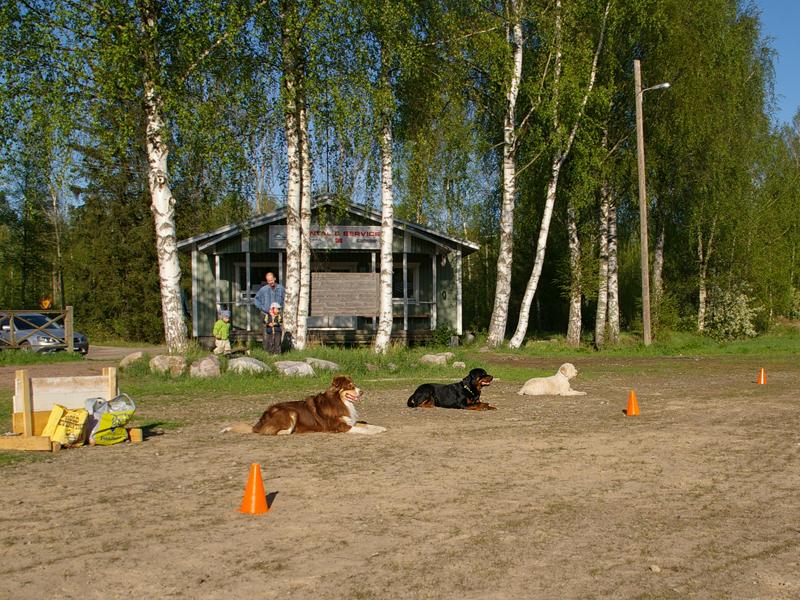 lajiesittely 20.jpg